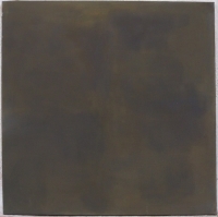 15_pigmenty-platno-110x110-2013.jpg
